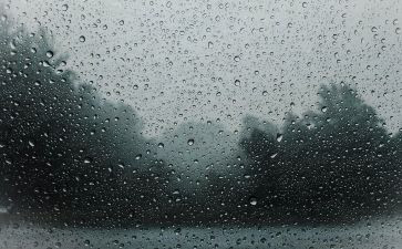 郁雨君的书读后感6篇