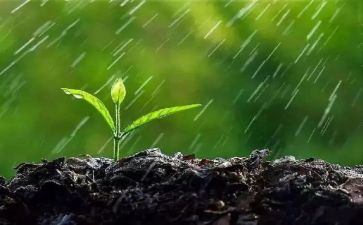 下雨啦小班音乐教案5篇