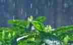 小英雄雨来的演讲稿8篇