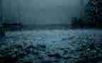 清明节的雨演讲稿模板8篇