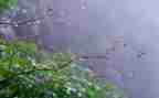四季雨的作文500字作文7篇