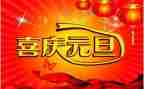 元旦联欢晚会活动方案5篇