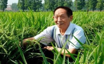 袁隆平事迹的心得体会模板8篇