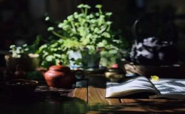 阅读节讲话稿5篇