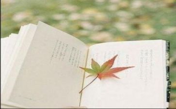 阅读心得体会500字8篇