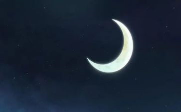鼹鼠的月亮读后感最新8篇