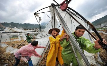 灾后补助申请书模板5篇