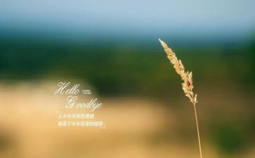 再见零读后感6篇