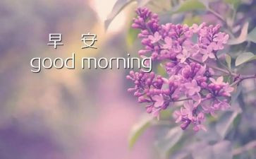 早教师工作心得体会推荐6篇
