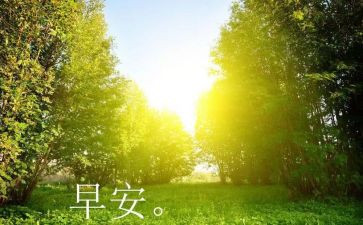 早训心得体会300精选6篇