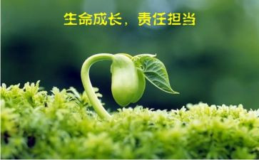 教师责任心的心得体会8篇