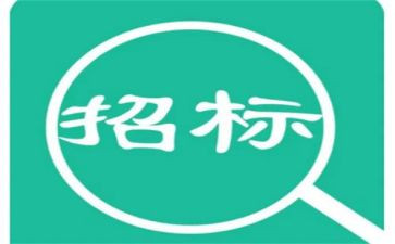 招标办个人总结范文8篇