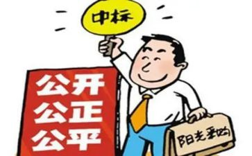 招标类工作总结6篇