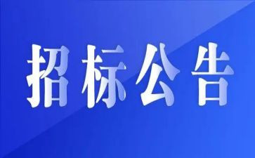 招标人工作总结5篇