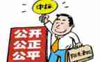 招标类工作总结6篇