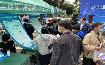 招就部的工作总结7篇