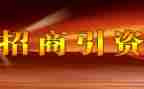 招商工作个人总结优秀5篇