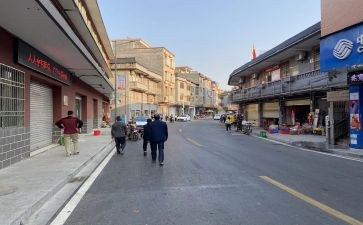 乡镇工作计划工作总结7篇