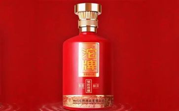 《珍藏》的读后感8篇