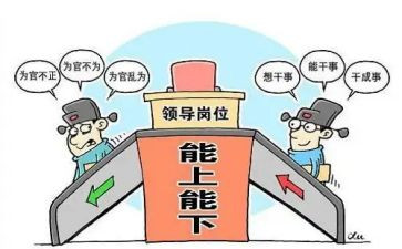 乡镇副镇长个人工作总结7篇