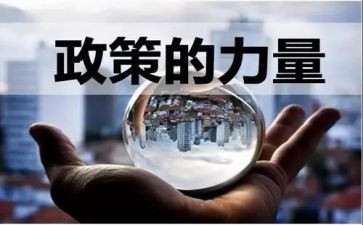 双减政策的教师心得体会5篇