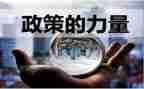 双减政策的教师心得体会5篇