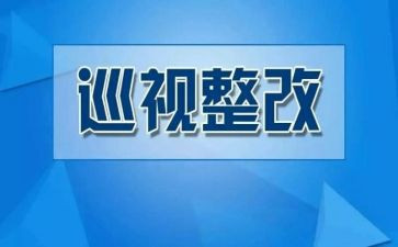 个人问题整改报告6篇