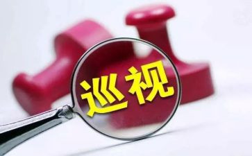 促整改心得体会7篇