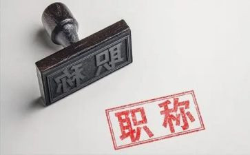 正高级工作总结5篇