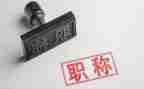 正高级工作总结5篇