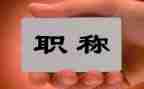 正高级工作总结模板8篇