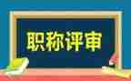 正高级工作总结6篇