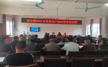 镇科技办工作总结7篇
