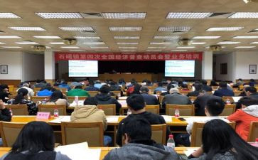 镇统计站工作总结优秀5篇