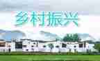 乡镇乡村振兴点工作计划7篇