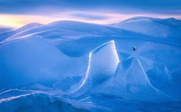 智慧树的读后感推荐6篇