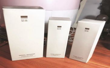 至本客服工作总结5篇