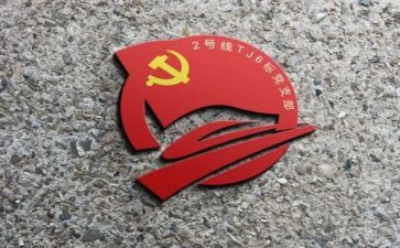 党支部个人年度总结5篇