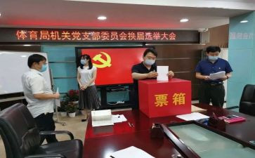 支部换届届工作总结6篇