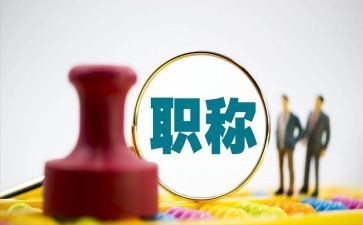 凭职称的工作总结最新8篇