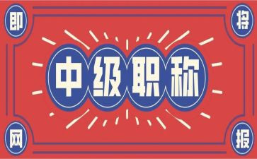 高级职称工作总结5篇