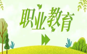 中职教师总结个人总结6篇