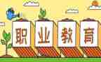 职教员述职报告5篇