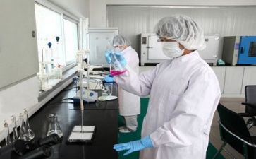 技术质量组工作总结6篇
