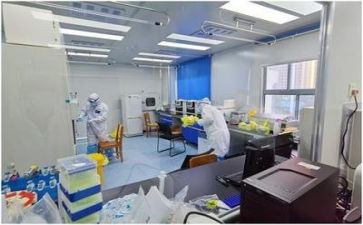 2022质量股工作计划8篇