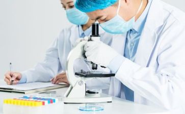 质量自查报告6篇