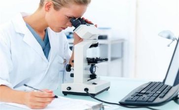 质量的工作总结6篇