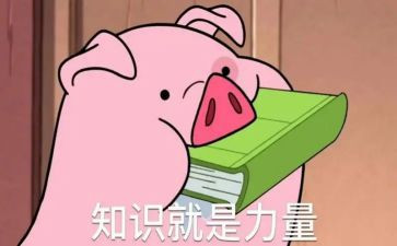 团知识讲座心得体会推荐8篇