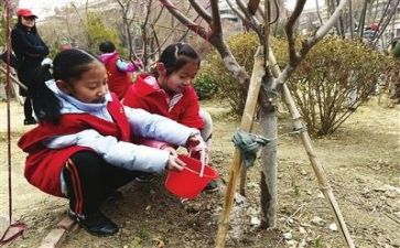 学生植树节活动总结5篇
