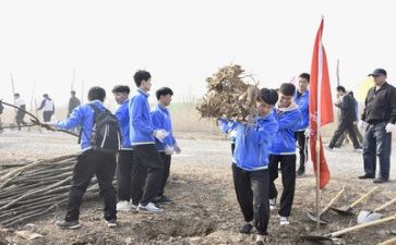 学校植树节活动总结6篇